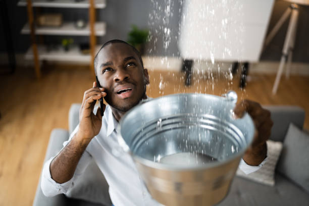 Professional Water damage restoration in Springdale, NJ