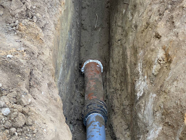 Best Sewage cleanup and water damage restoration  in Springdale, NJ