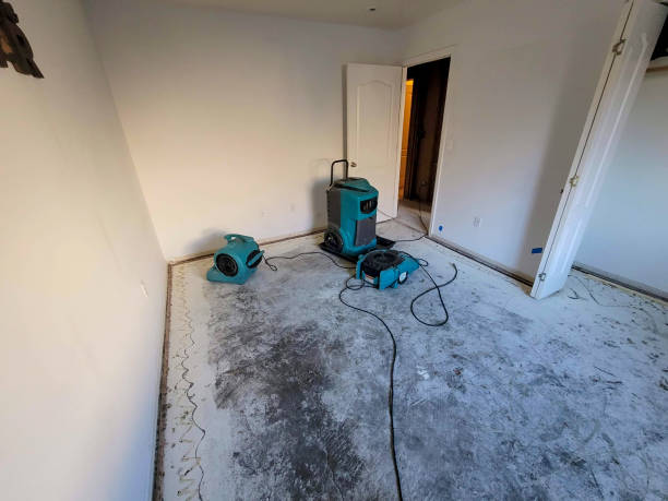 Best Water damage mitigation services  in Springdale, NJ