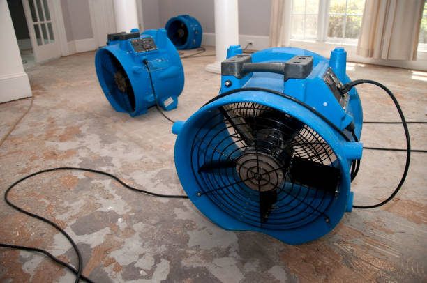 Best Emergency water damage restoration  in Springdale, NJ