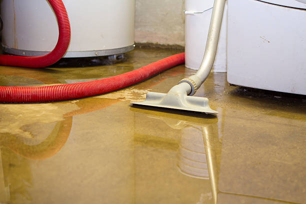 Best Commercial water damage restoration  in Springdale, NJ