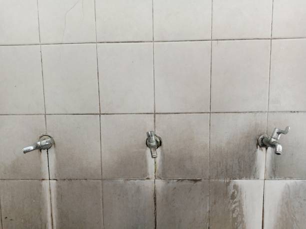 Water damage restoration mold remediation in Springdale, NJ