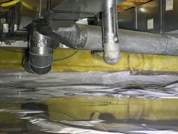 Best Ceiling water damage repair  in Springdale, NJ