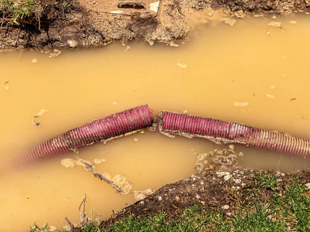 Best Emergency water damage restoration  in Springdale, NJ