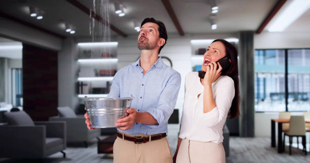 Best Flood restoration services  in Springdale, NJ